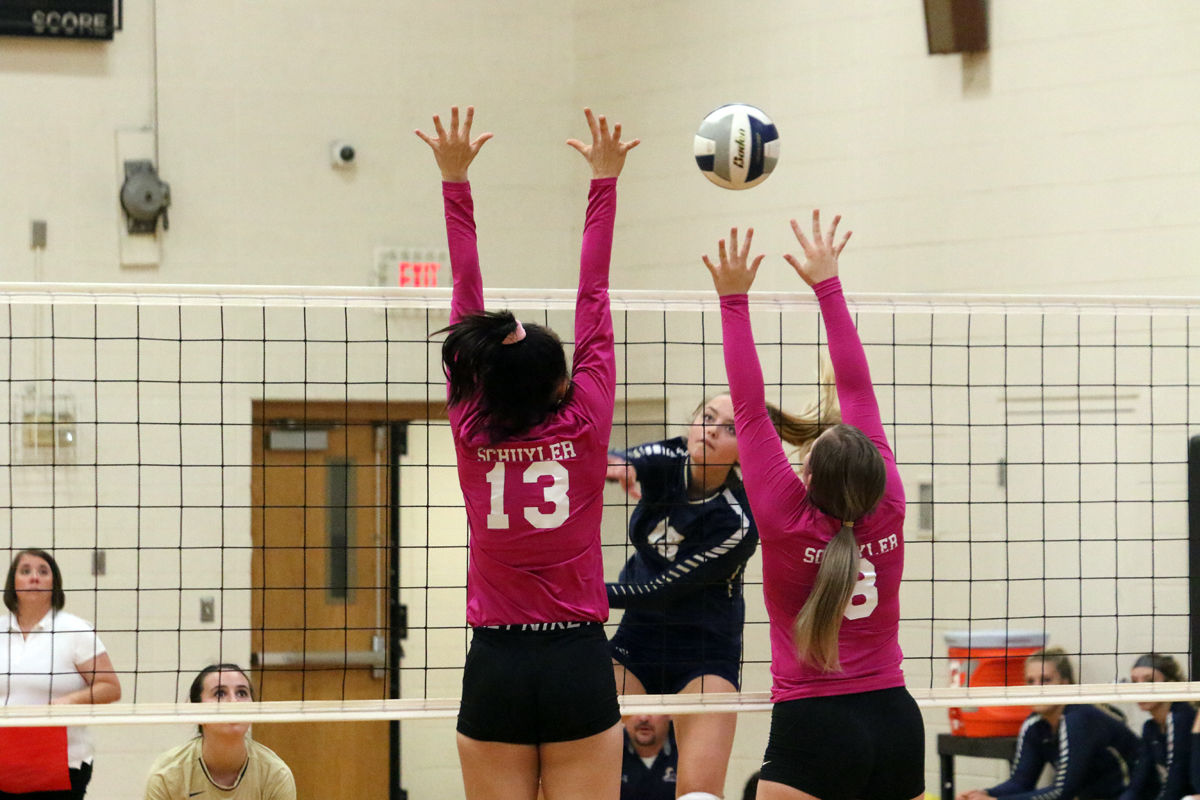 York Central Conf VB (8).JPG
